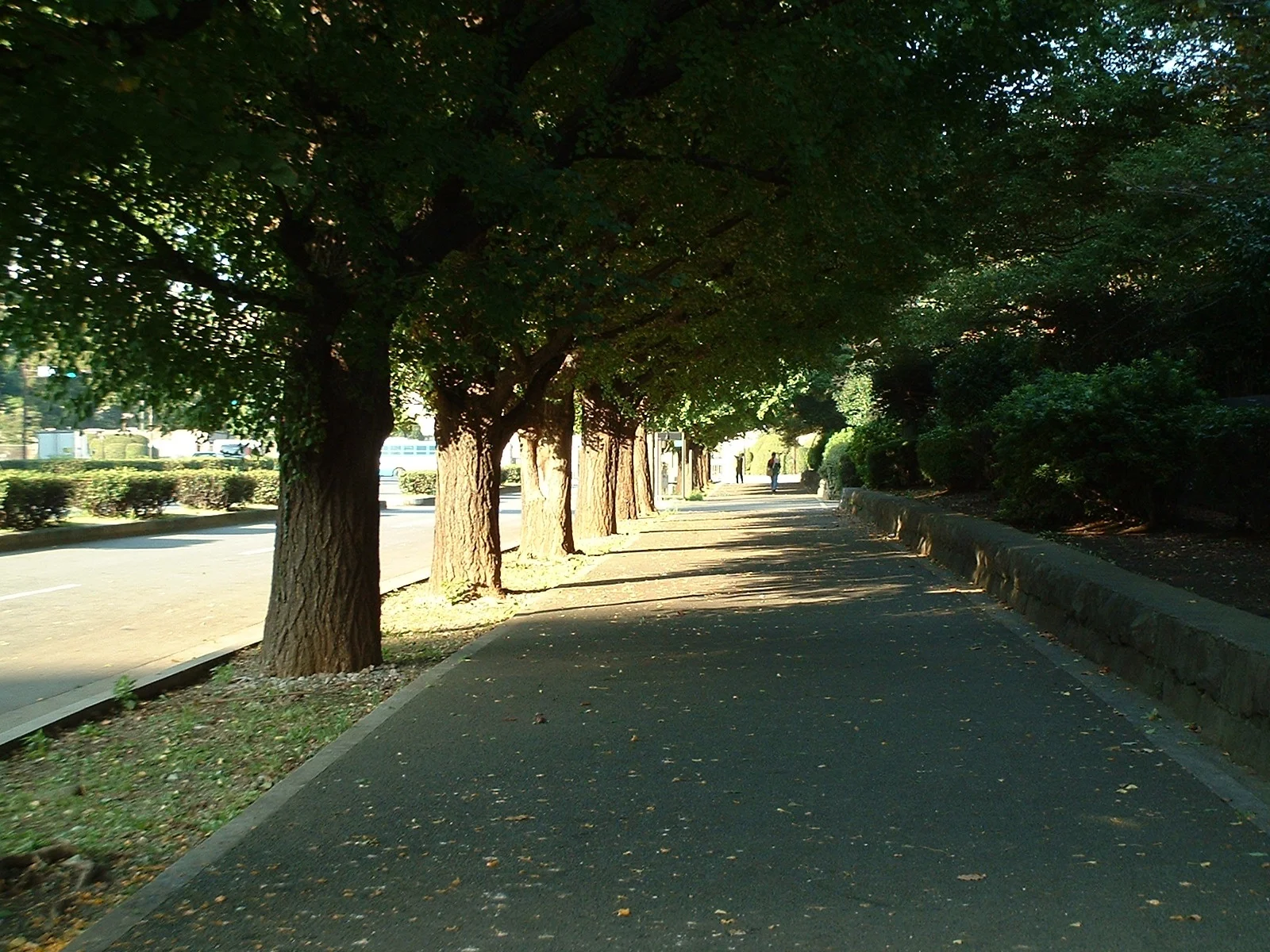 Tokyo - Street to the Diet Building