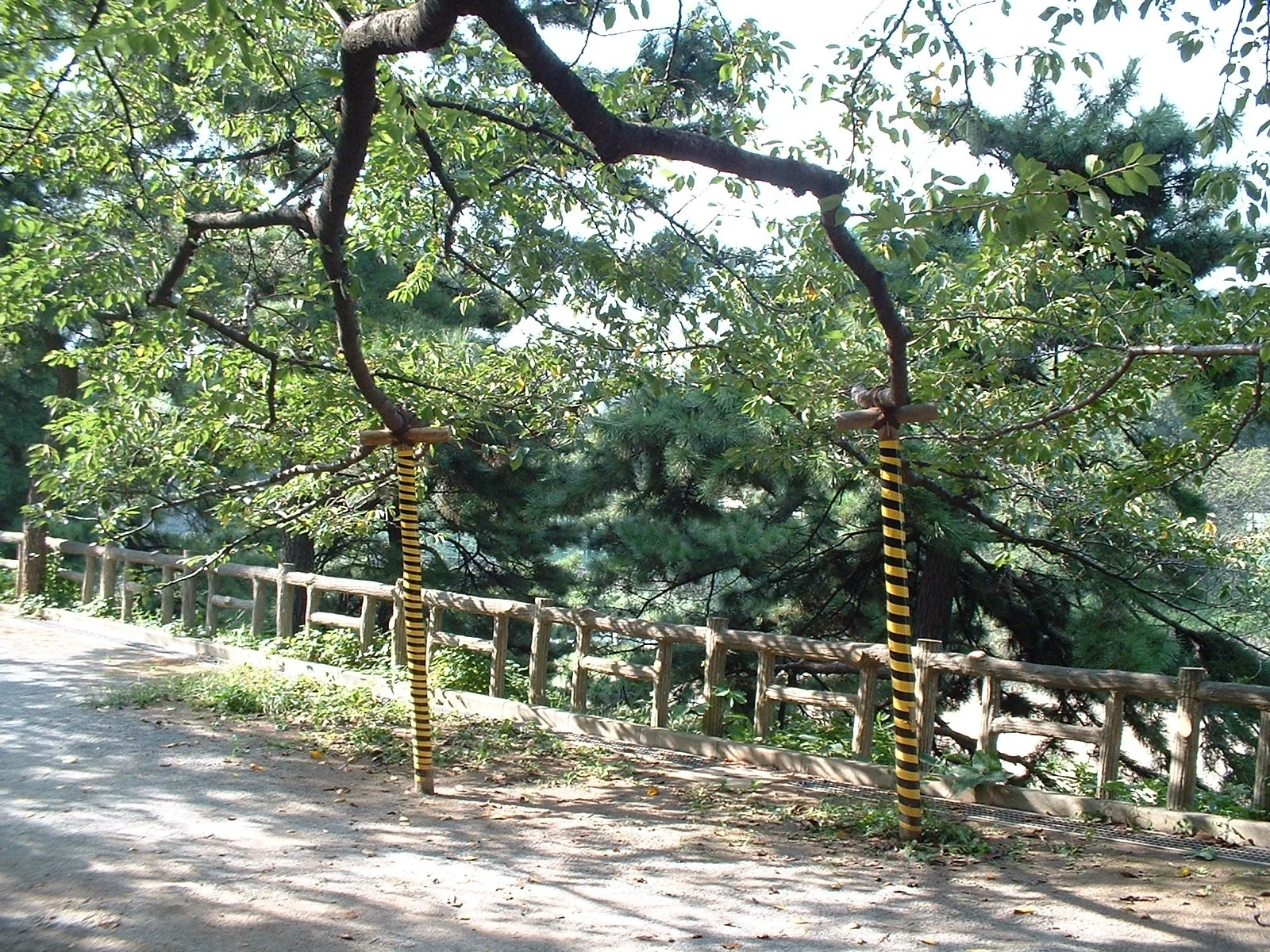 Tokyo - Yotsuya