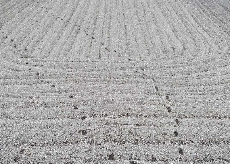 tracks.JPG