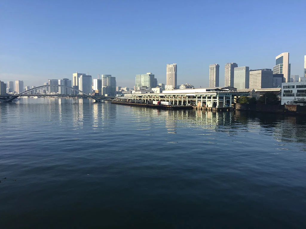Tsukiji 2016