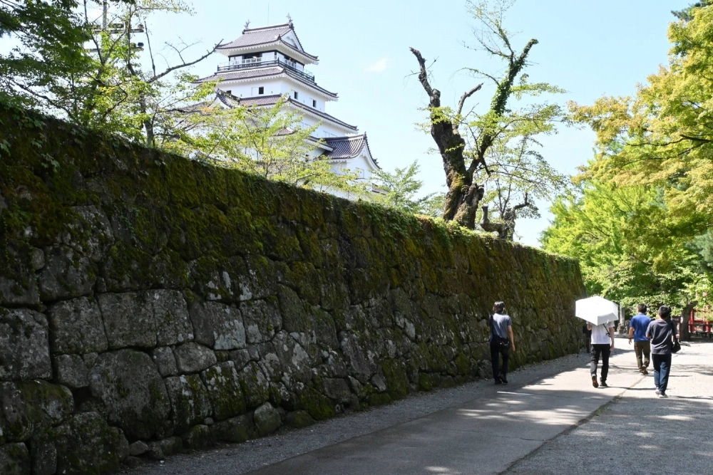 Tsuruga Castle