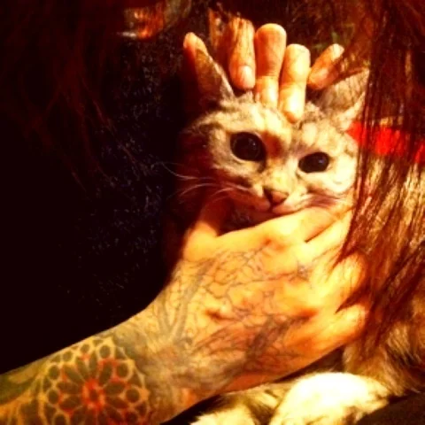 tumblr lxjzhnz0g61r0npgto1 500