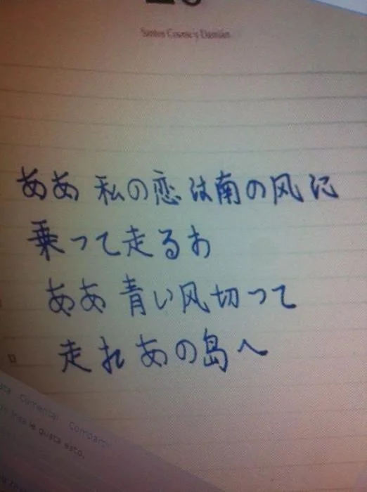tumblr_mi4nzccOEo1rnsukwo1_1280.jpg