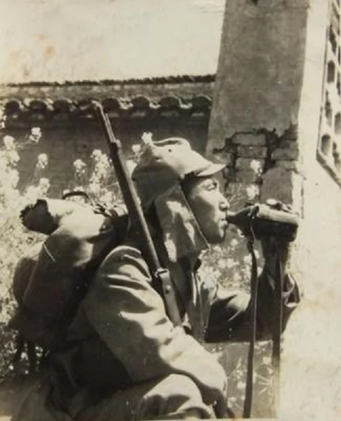 Type 1 b.jpg