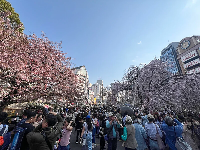 ueno03.webp