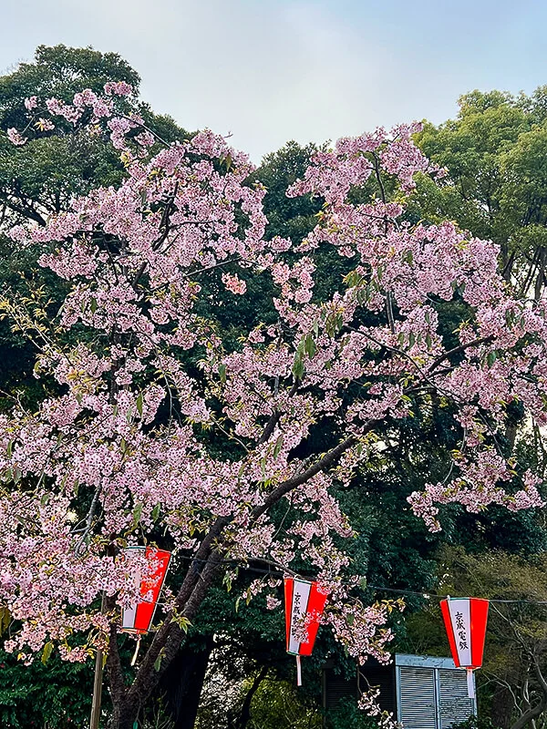 ueno04.webp