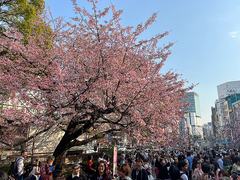 ueno05.webp