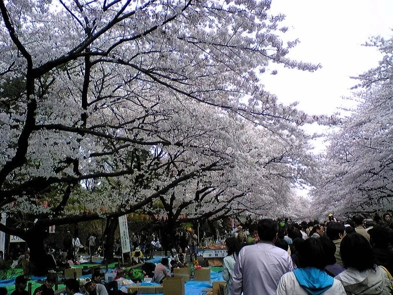 ueno2.jpg