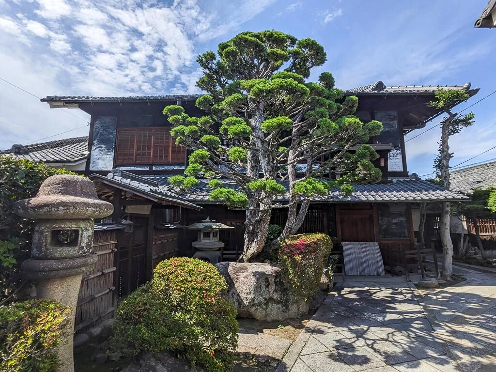Uji