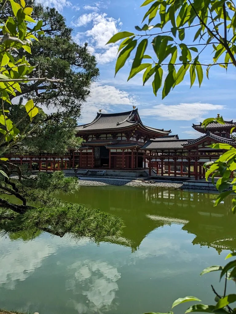 Uji