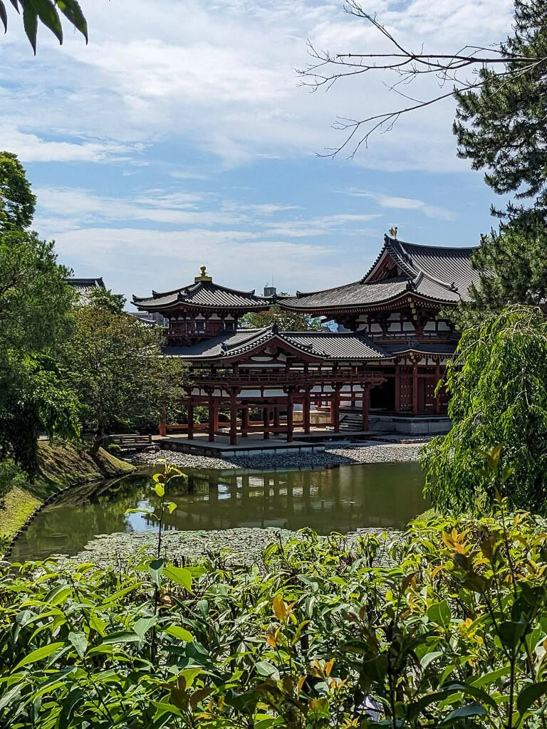 Uji