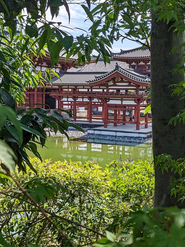 Uji