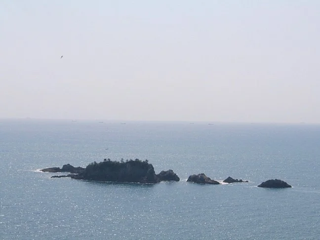 view3.jpg