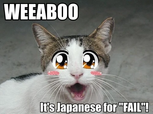 weeaboo_its_japanese_for_fail_trollcat.jpg
