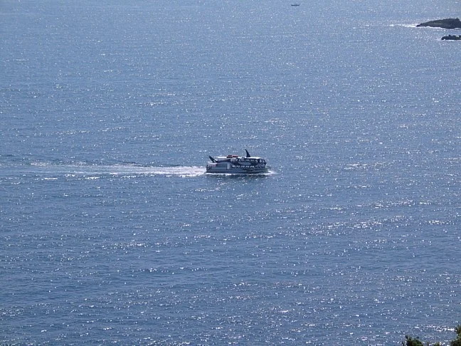 whaleferry.jpg