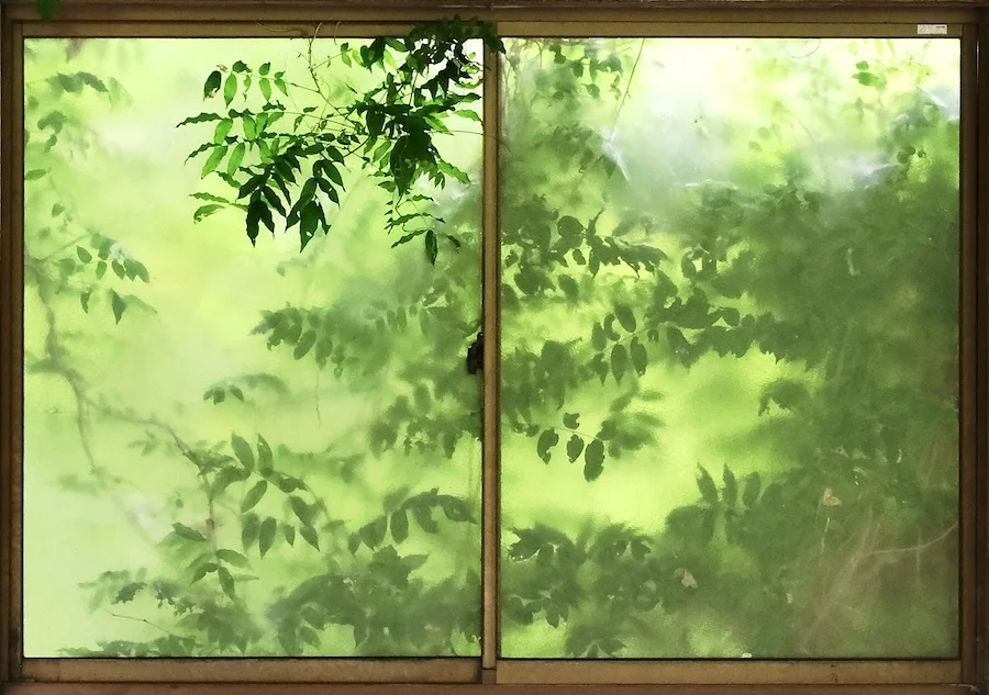 windows.webp