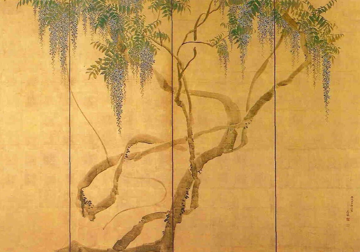 Wisteria