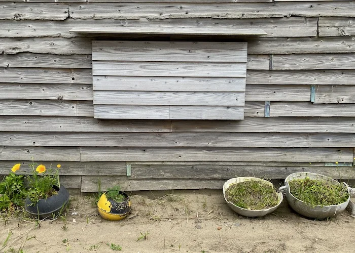 wood window.JPG