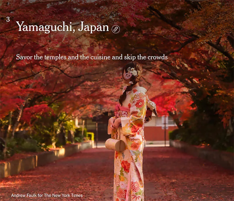 yamaguchi-nyt.jpg