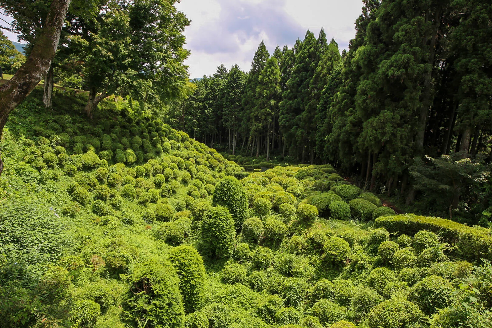 Yamanaka Castle Ruins