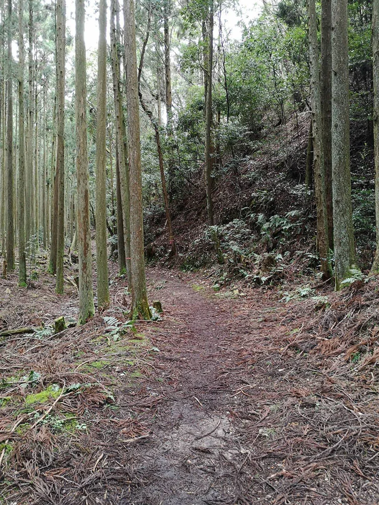 Yamashina