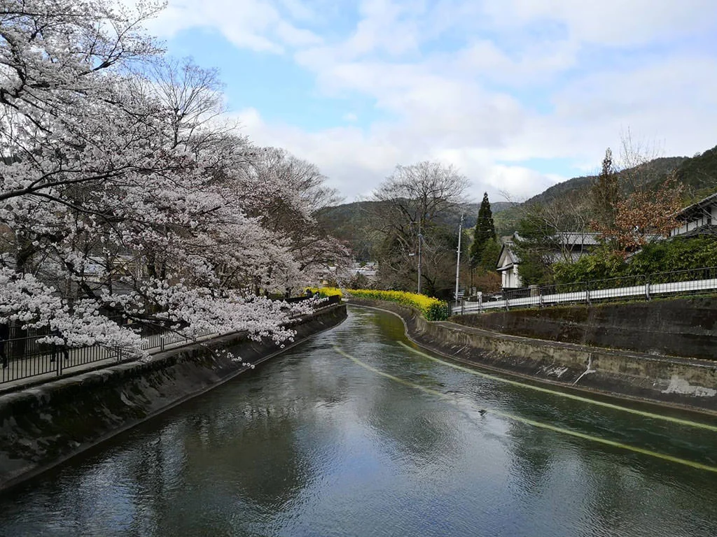 Yamashina