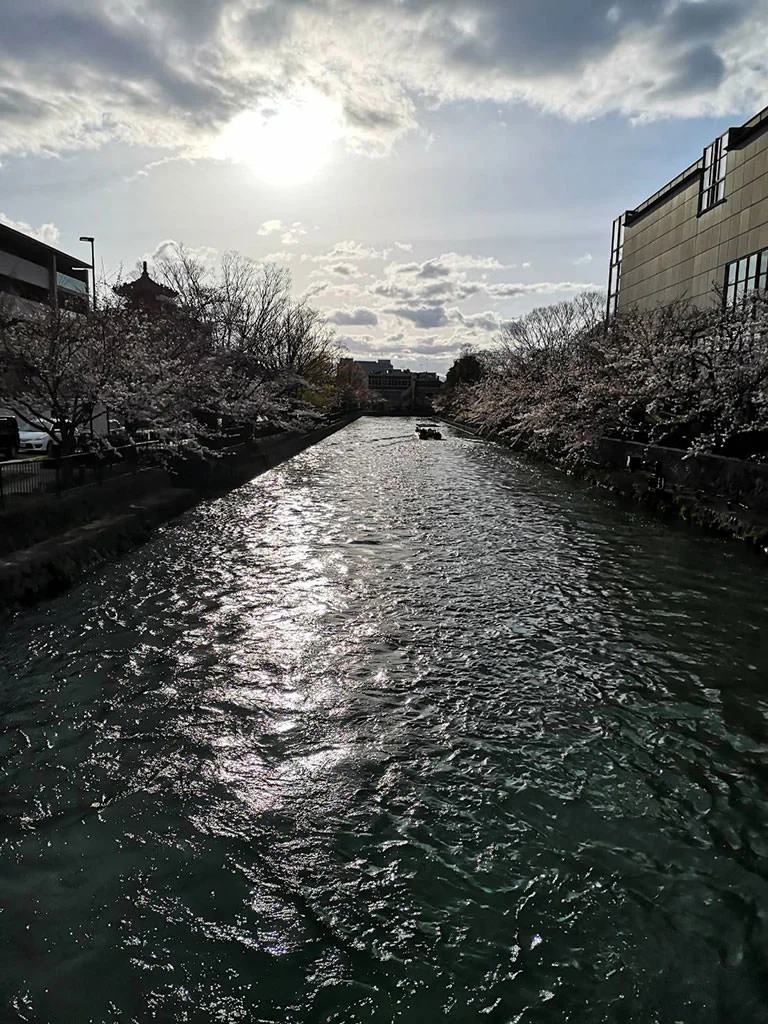 Yamashina