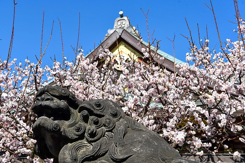 Yushima Tenmangu