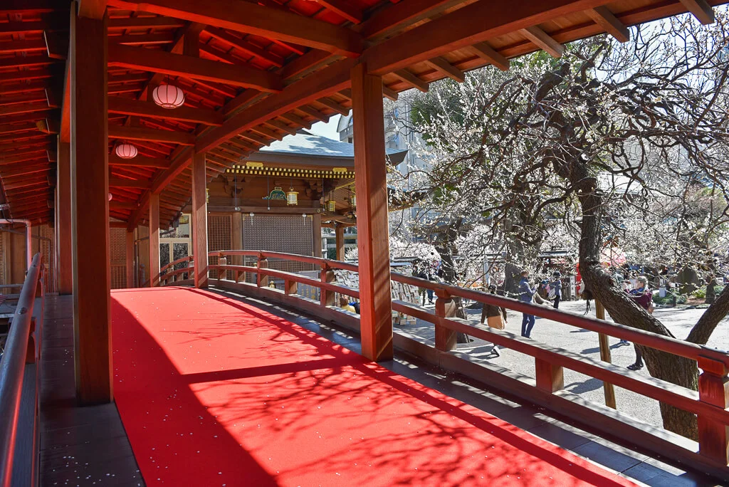 Yushima Tenmangu
