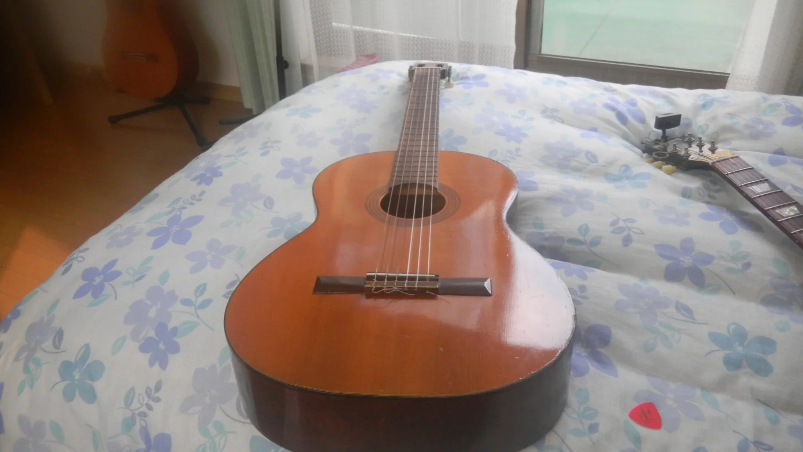 Zen-on guitar.JPG