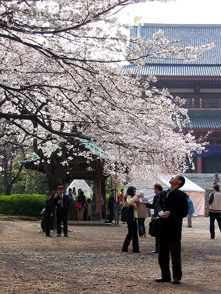 Zojo-ji