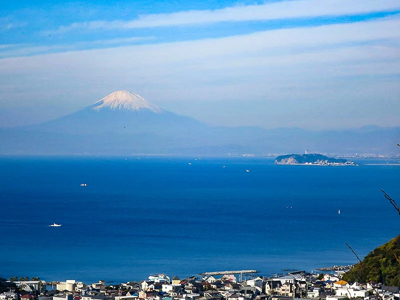 zushi.webp