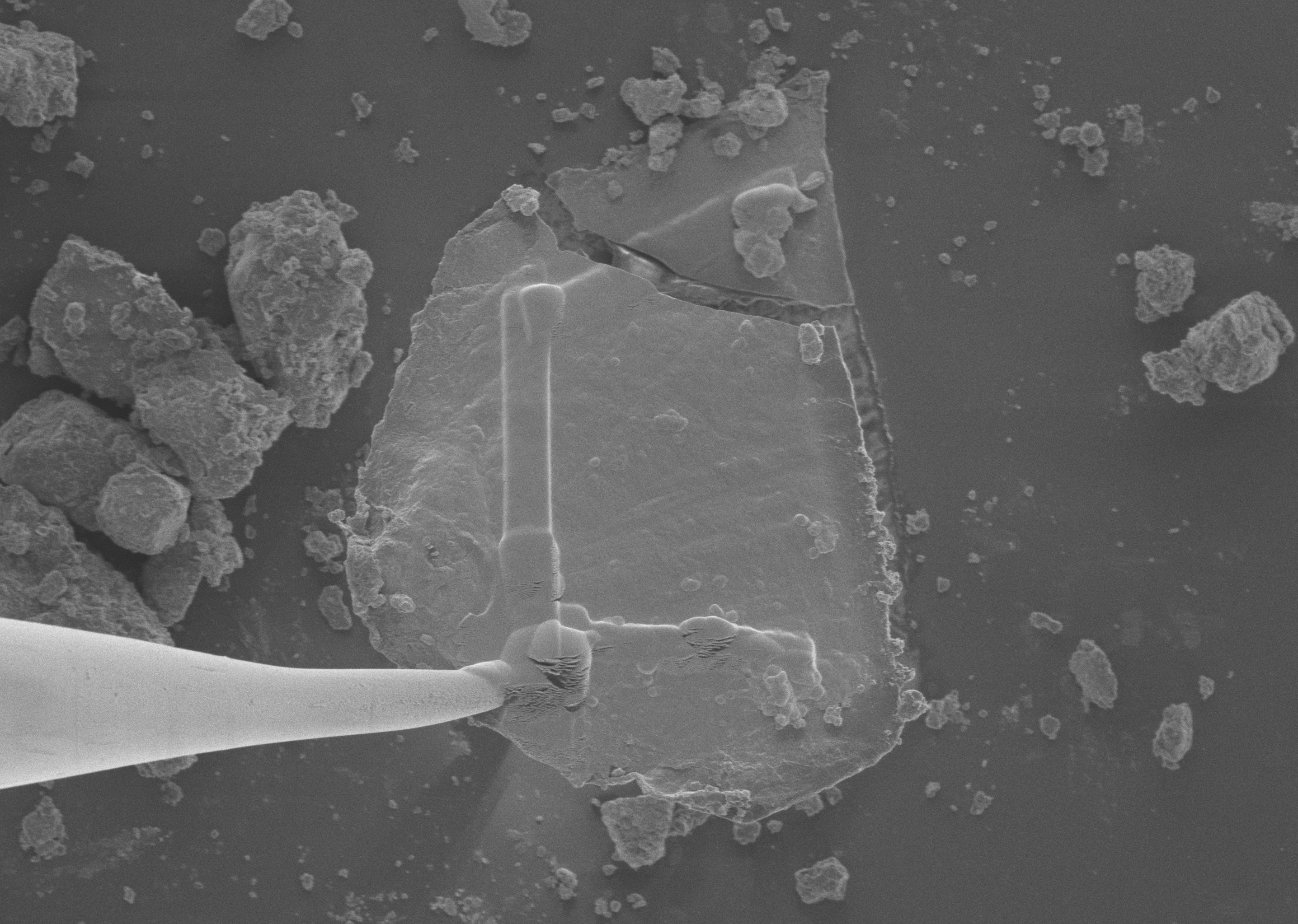 www.nasa.gov