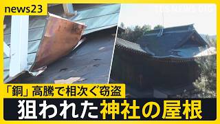newsonjapan.com