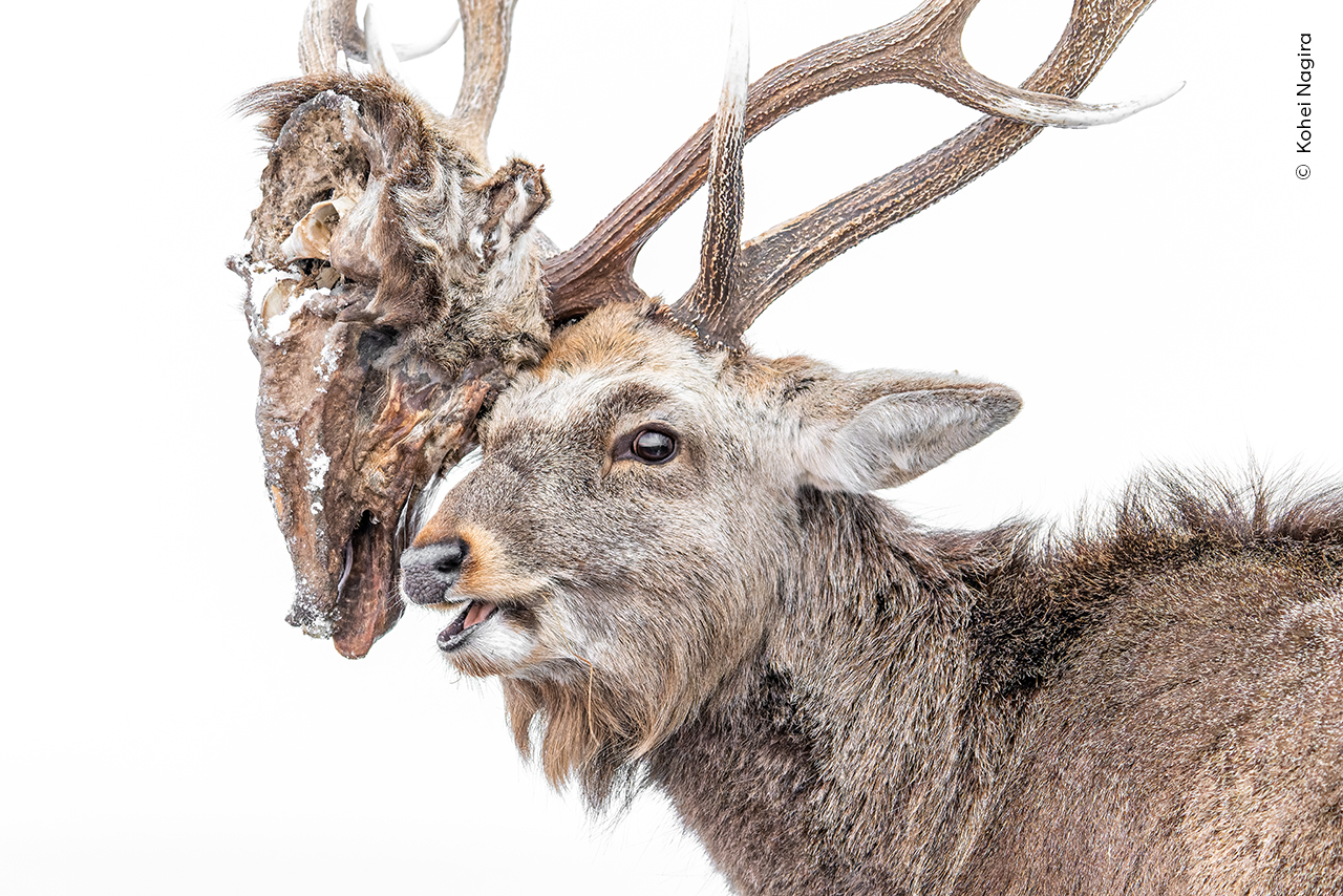 www.nhm.ac.uk
