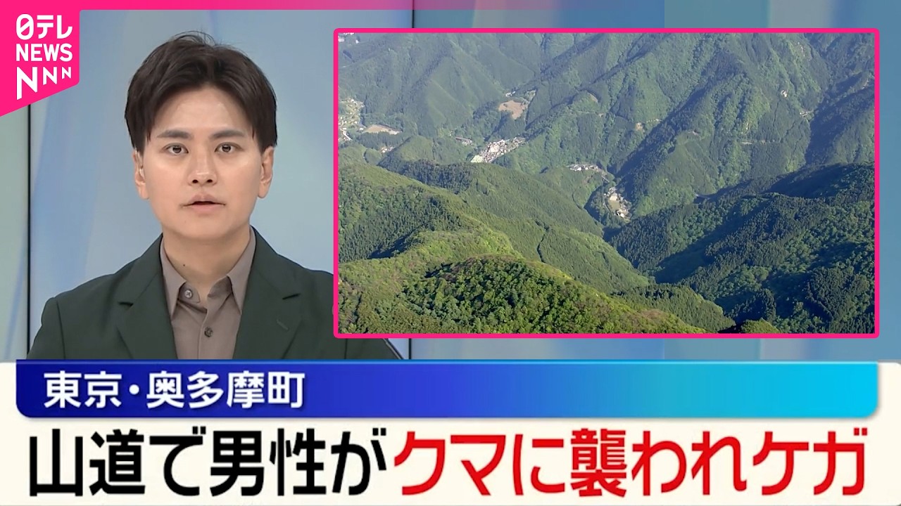 newsonjapan.com
