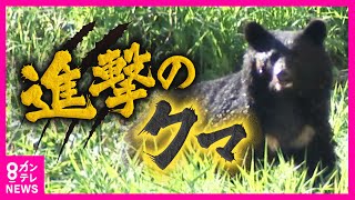 newsonjapan.com