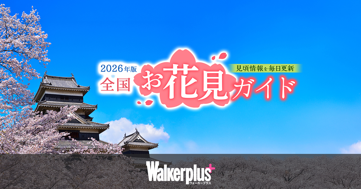 hanami.walkerplus.com