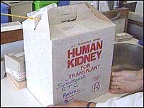 _39592395_transplant_main_203.jpg