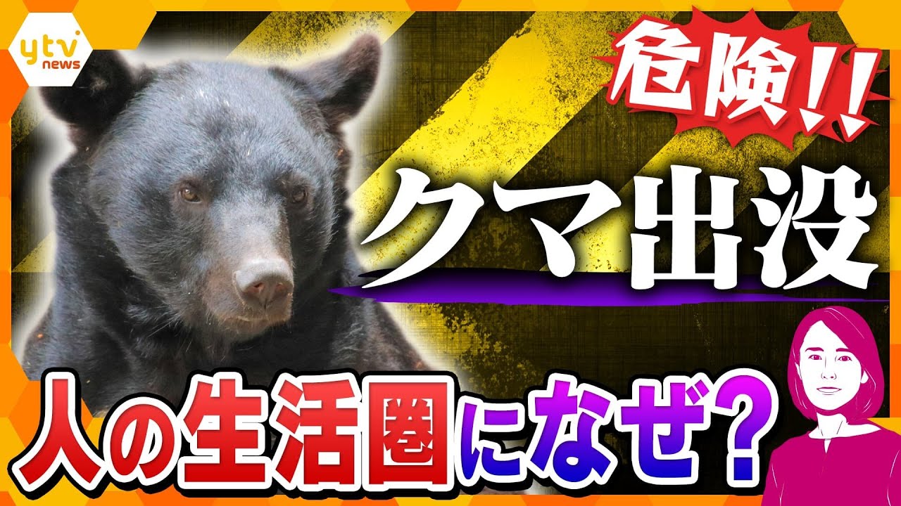 newsonjapan.com