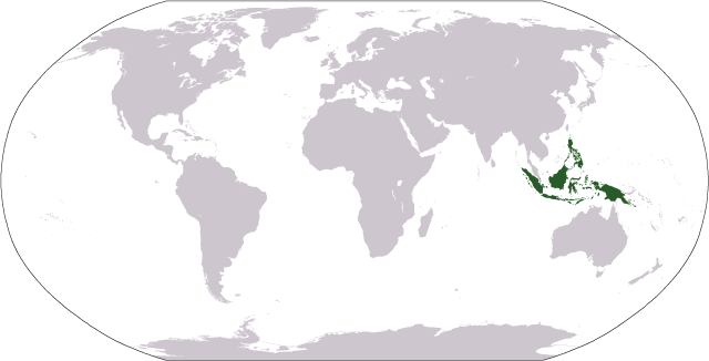 ja.wikipedia.org