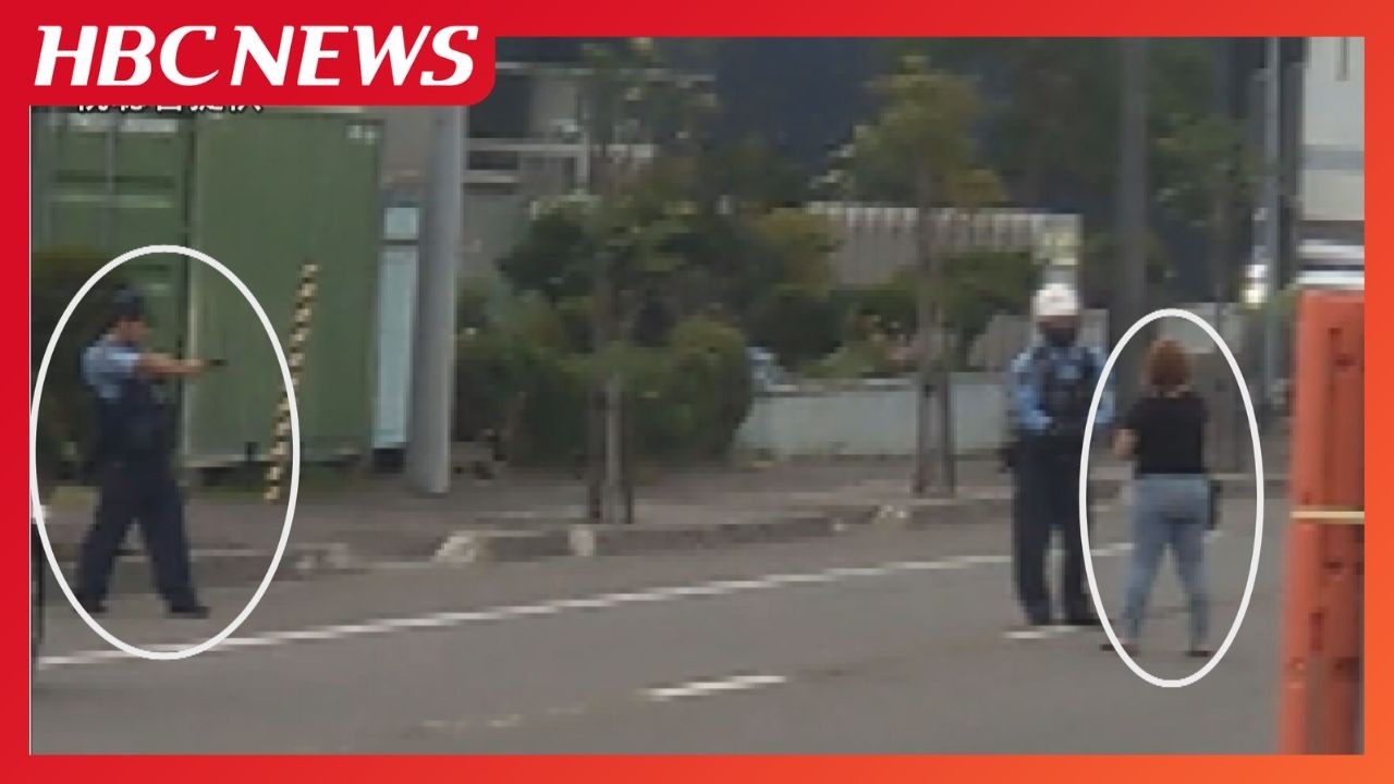 newsonjapan.com