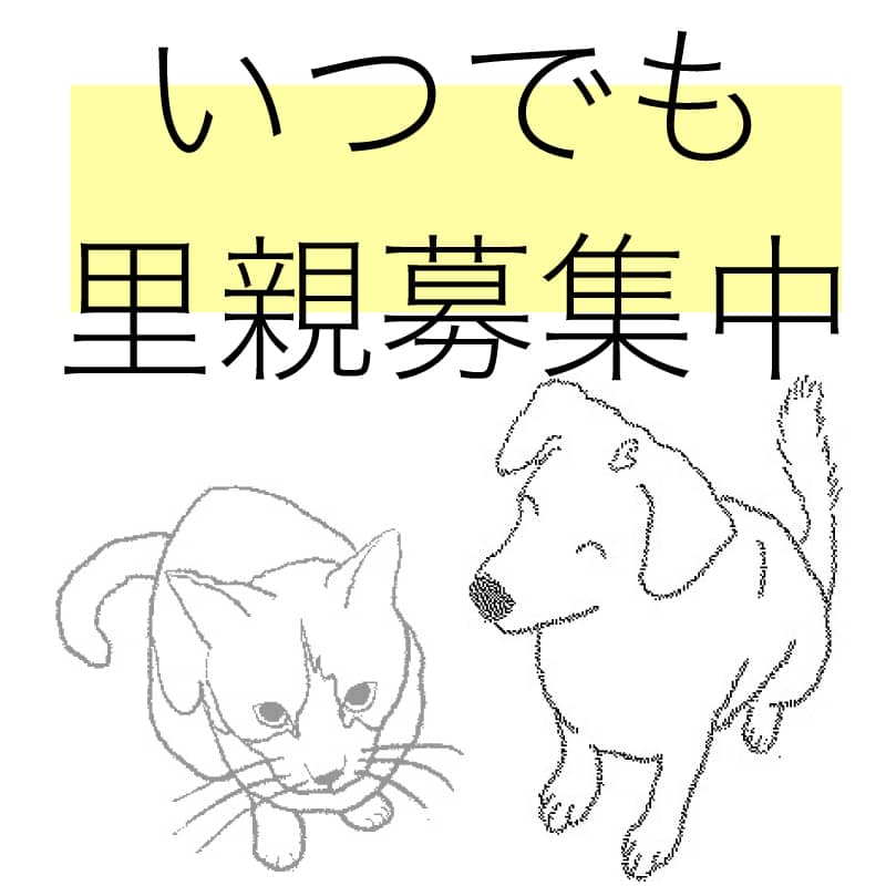 satoya-boshu.net