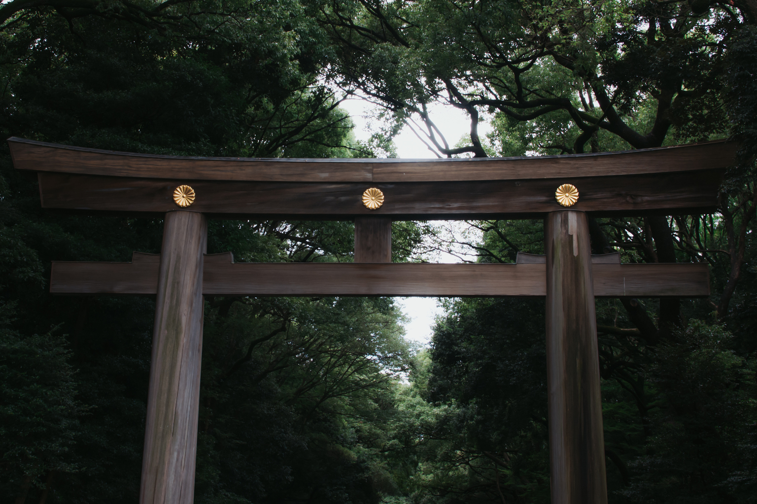 www.tokyoweekender.com