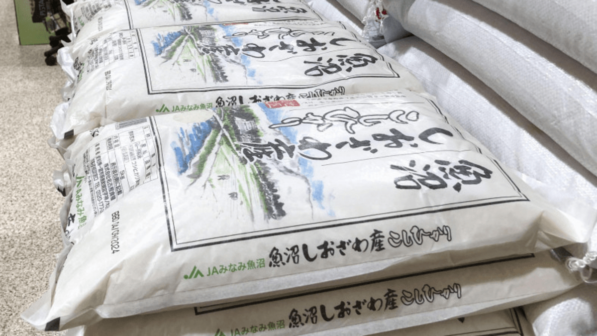 english.kyodonews.net