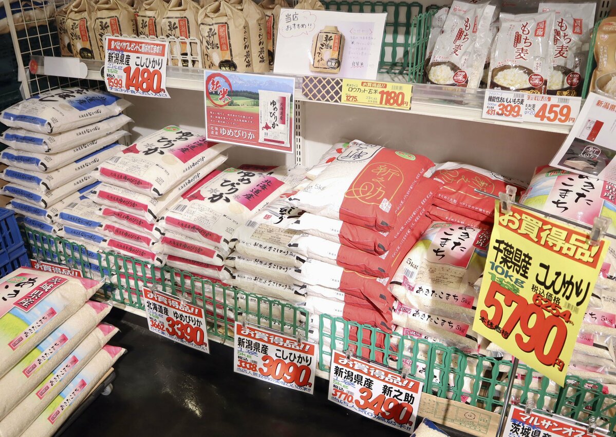 english.kyodonews.net