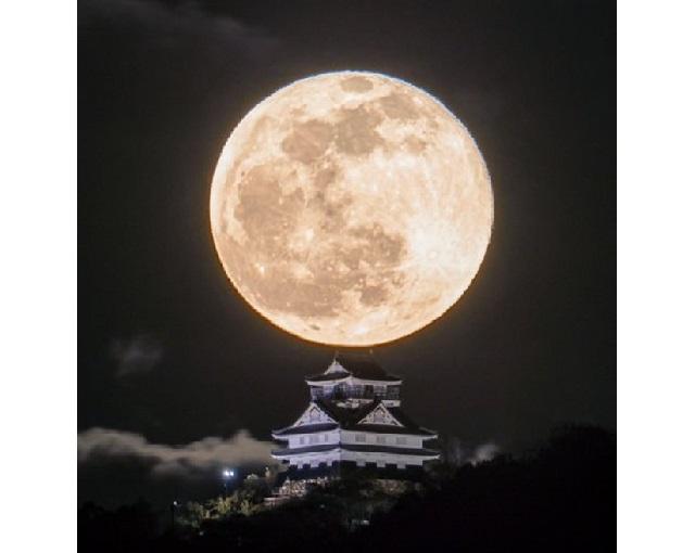 japantoday.com