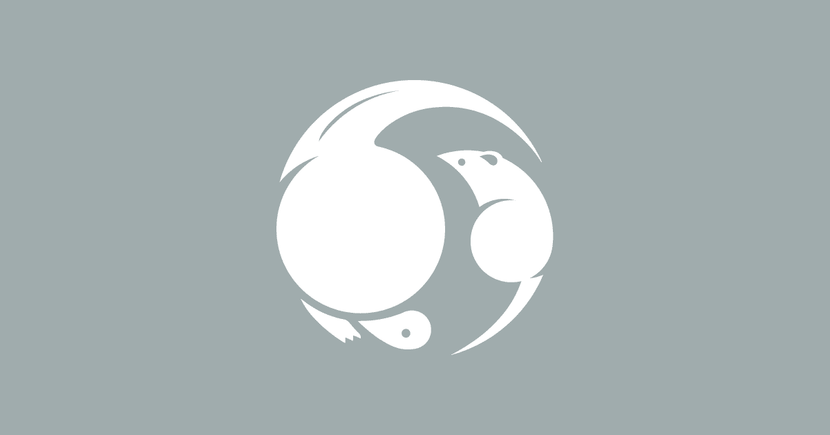 www.iinumahonke.co.jp