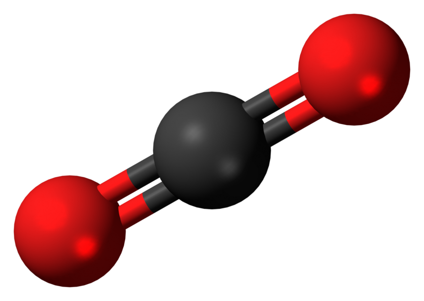 phys.org