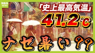 newsonjapan.com